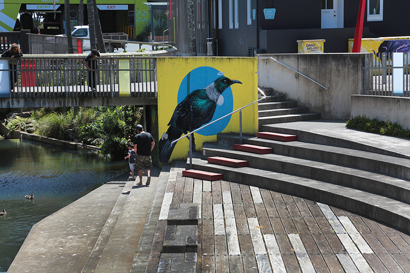 Street Art : New Plymouth : Taranaki : Richard Moore : Journalist : Photographer :